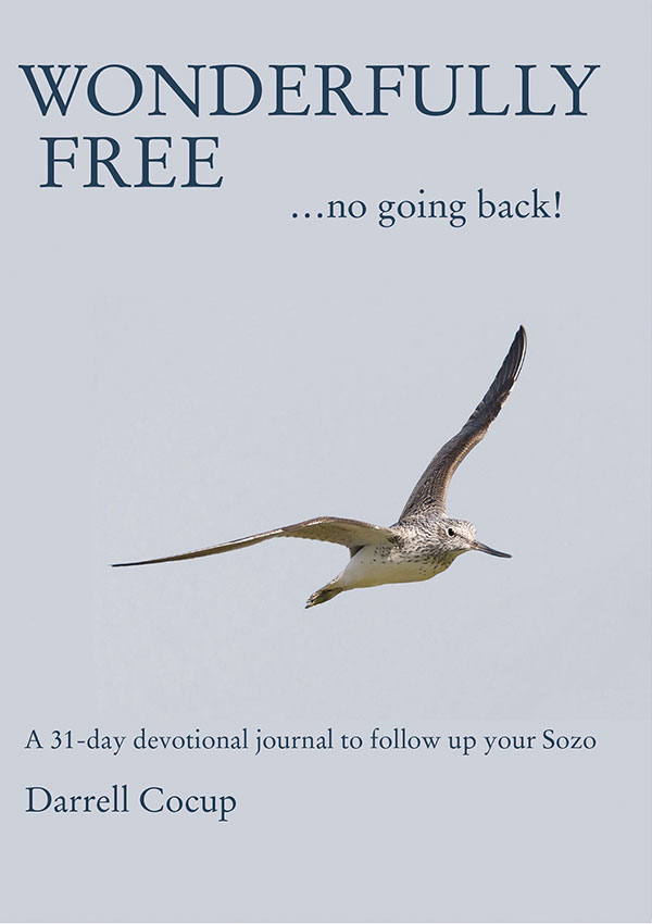 Wonderfully Free...no going back! book cover